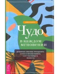 Чудо в каждом мгновении. Духовные способы преодолеть страх и почувствовать силу настоящего момента