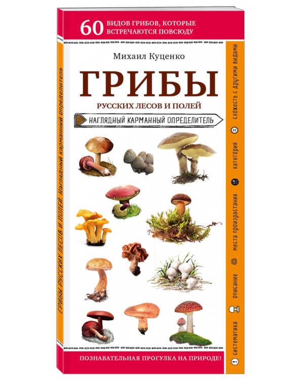Грибы русских лесов и полей. Наглядный карманный справочник