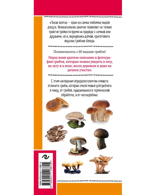 Грибы русских лесов и полей. Наглядный карманный справочник