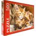 Пазл. Рыжие котята Мейн-куна, 500 элементов