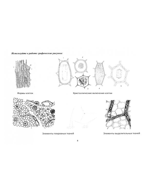 Ботаника. Практикум. Учебное пособие