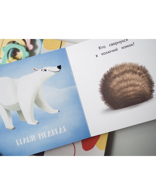 Я иду искать! Играем в прятки с животными