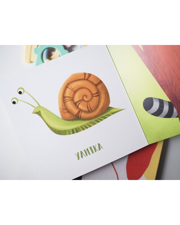 Я иду искать! Играем в прятки с животными