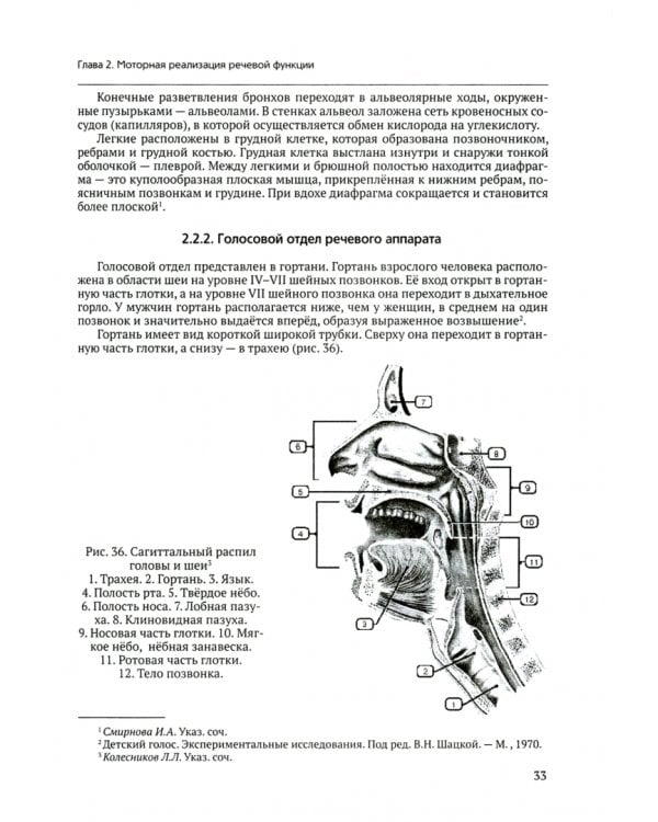Анатомо-физиологические механизмы речи. Учебное пособие для вузов с практикумом
