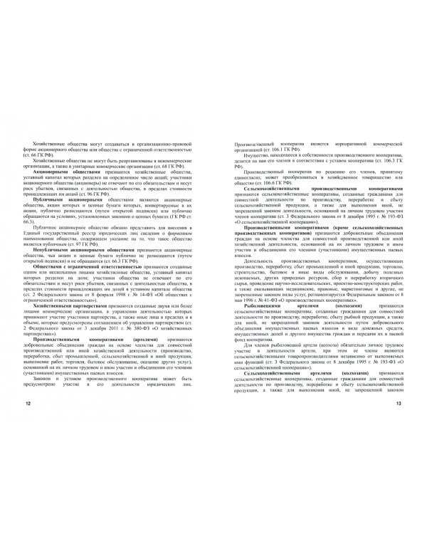 Внутренний корпоративный контроль. Учебник