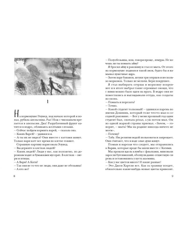 Остров, одетый в джерси