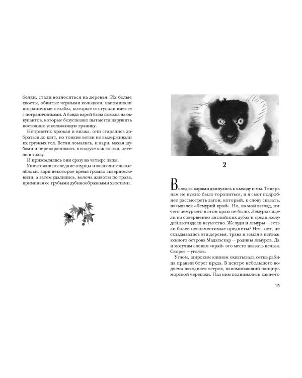 Остров, одетый в джерси