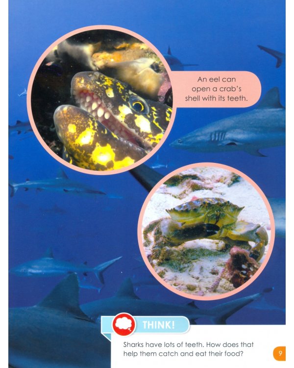 Underwater Predators