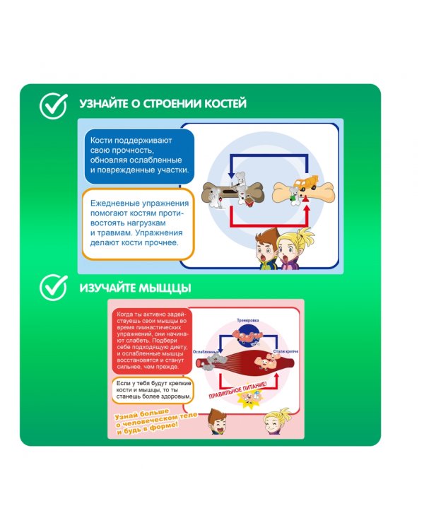 Японские опыты. Науки с Буки. Человек. Кости и мышцы