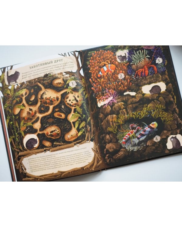 Гомер ищет друга. Удивительная дружба растений и животных