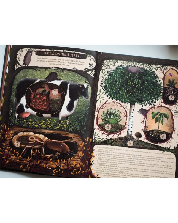 Гомер ищет друга. Удивительная дружба растений и животных