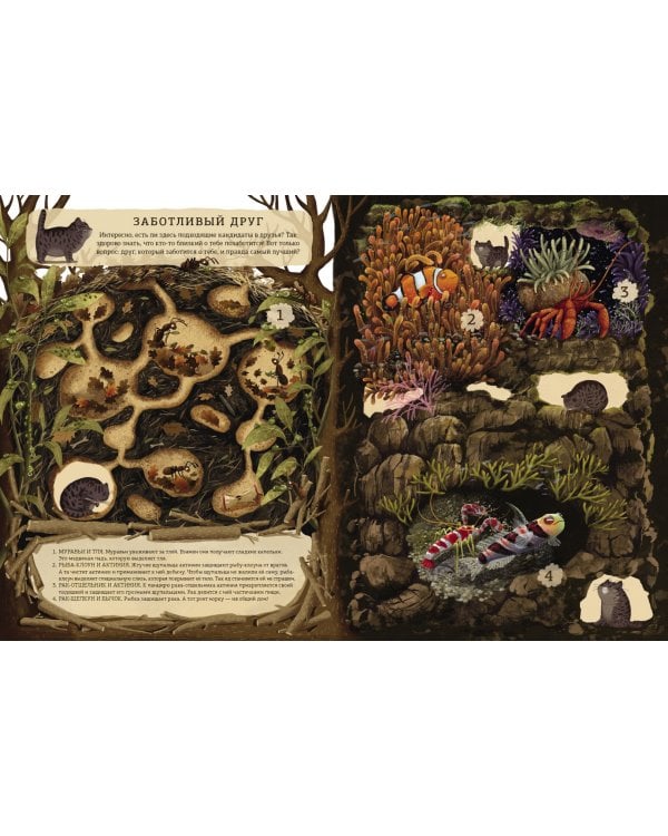 Гомер ищет друга. Удивительная дружба растений и животных