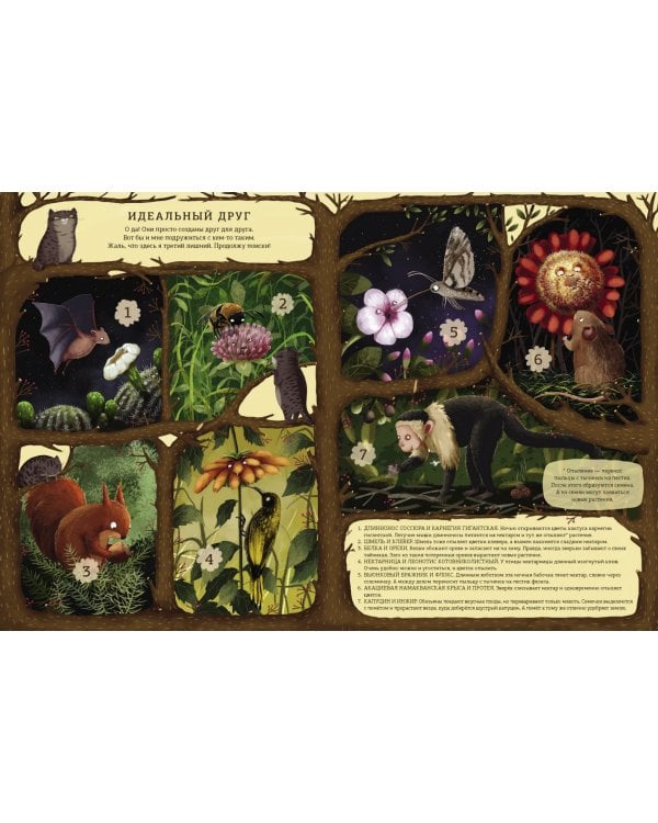 Гомер ищет друга. Удивительная дружба растений и животных