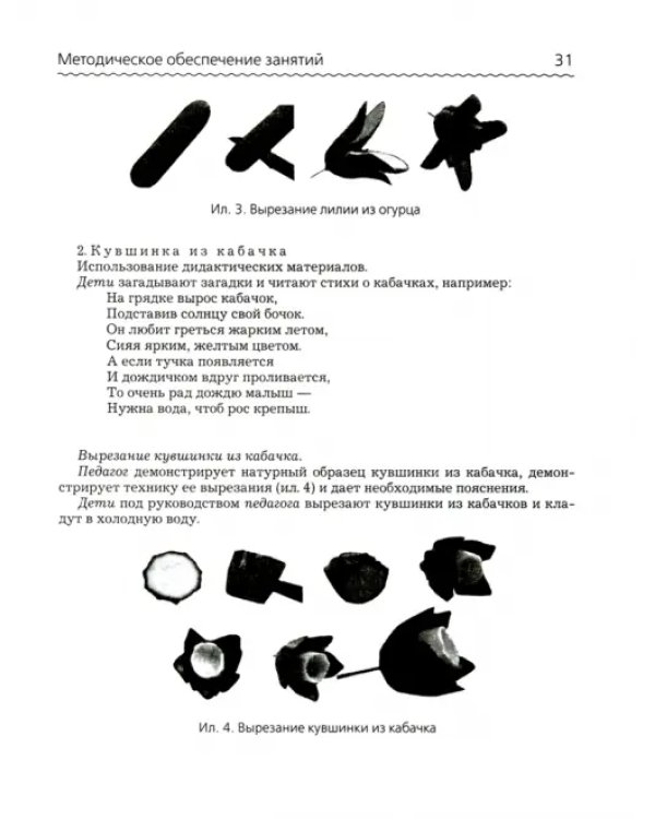 Декоративная резьба по овощам и фруктам (карвинг). 5-9 классы. Учебно-методическое пособие (+CD) (+ CD-ROM)