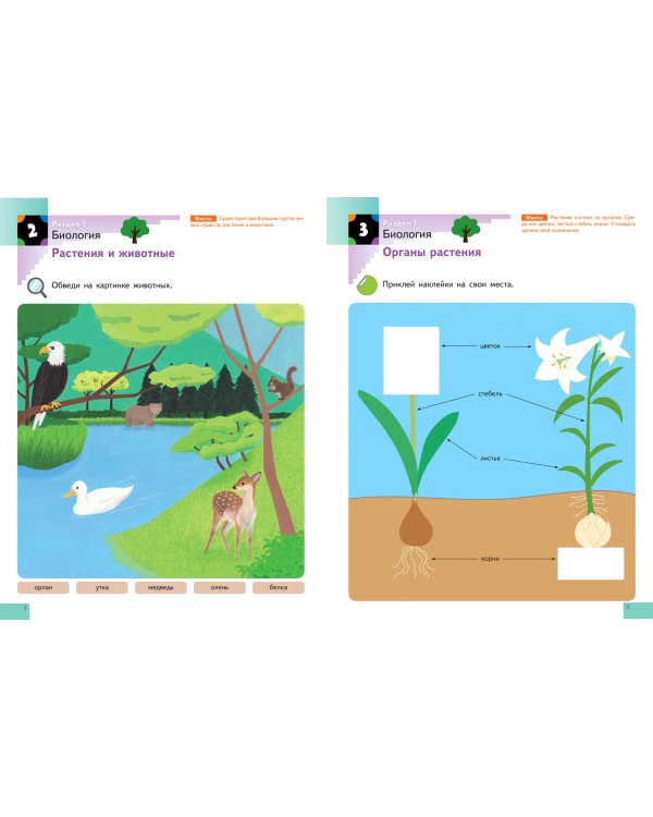 Наука. Уровень 2