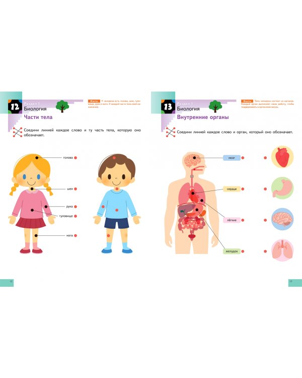 Наука. Уровень 2