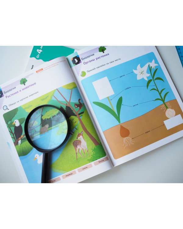 Наука. Уровень 2