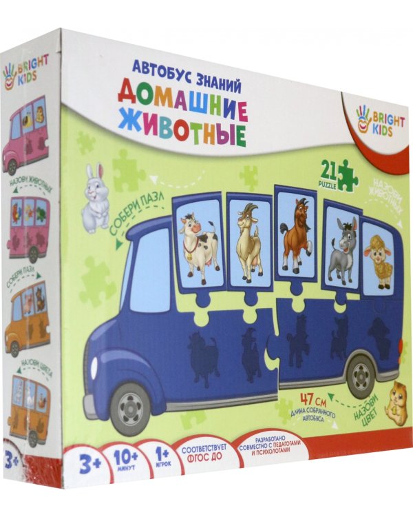 Автобус знаний. Домашние животные, 21 элемент