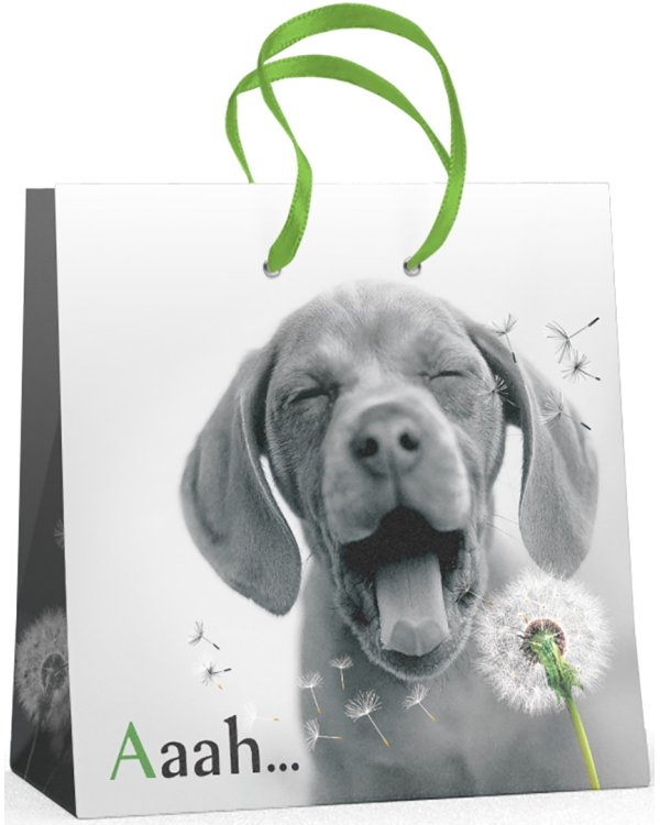 Пакет подарочный "Щенки" (16,5x16,5x9,2 см)