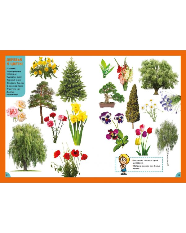 Мир вокруг нас. Для детей 3-6 лет