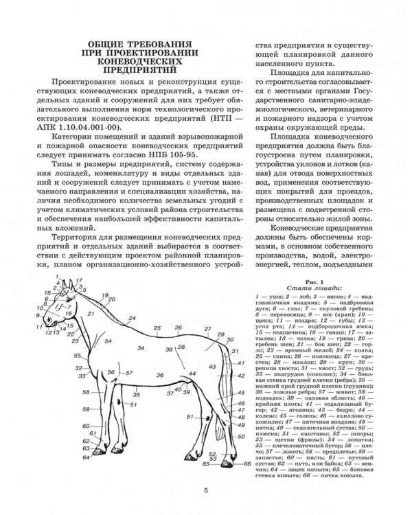 Уход и болезни лошадей. Учебное пособие для СПО