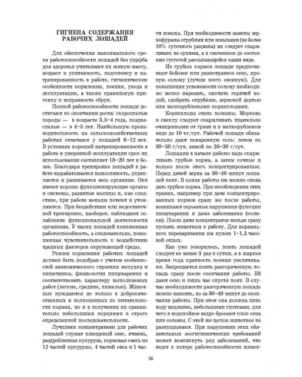 Уход и болезни лошадей. Учебное пособие для СПО