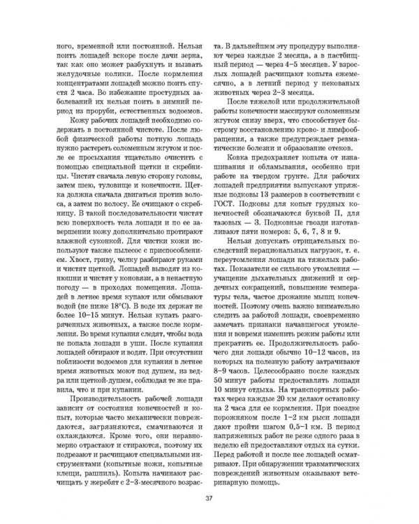 Уход и болезни лошадей. Учебное пособие для СПО