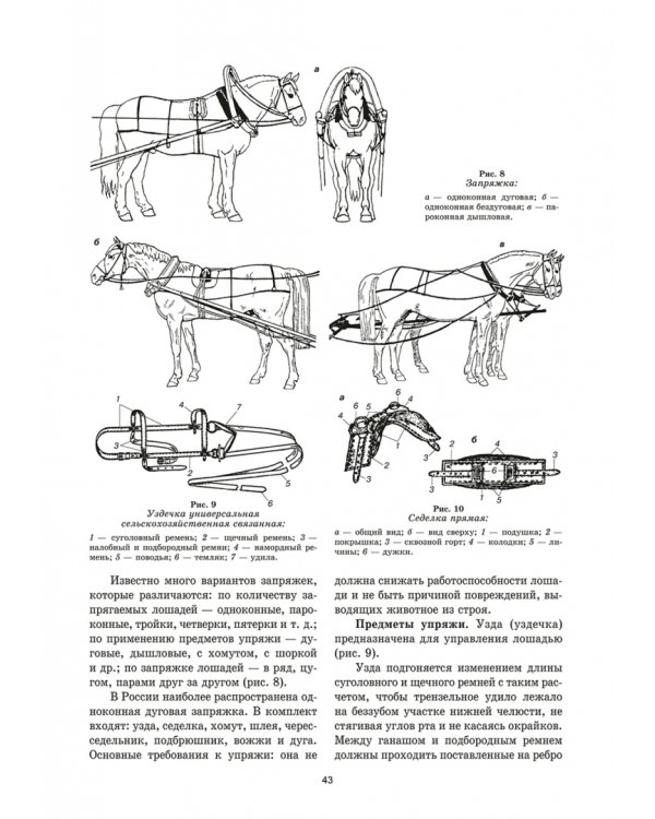 Уход и болезни лошадей. Учебное пособие для СПО