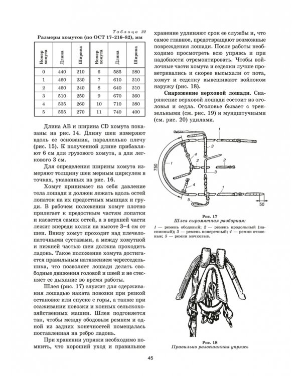 Уход и болезни лошадей. Учебное пособие для СПО