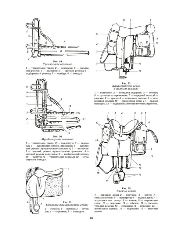 Уход и болезни лошадей. Учебное пособие для СПО