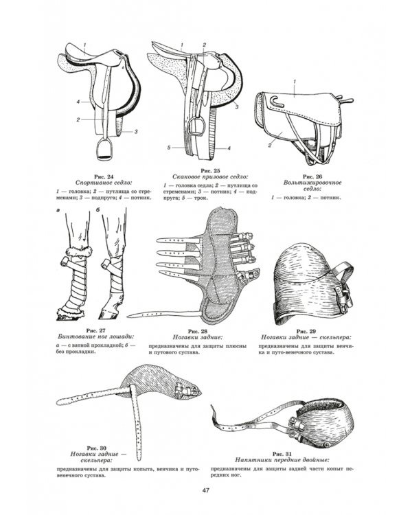 Уход и болезни лошадей. Учебное пособие для СПО