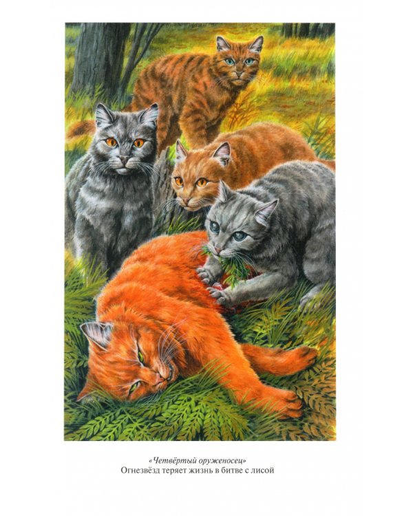 Четвертый оруженосец. Долгое эхо