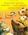 Жития святых.Чудесная дружба святых с животными.Познавательная книга-раскраска
