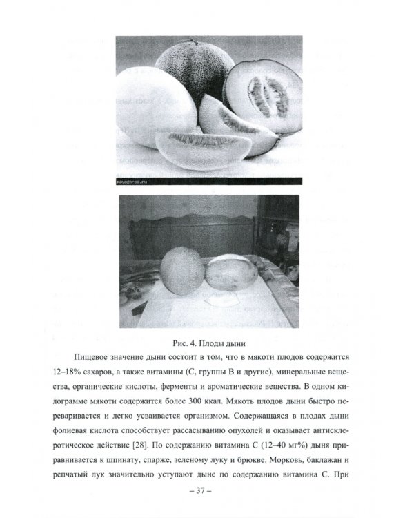 Бахчеводство. Учебник