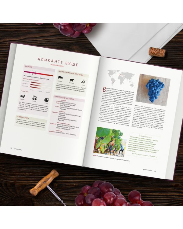 Красное вино. Комплексное руководство по 50 сортам и стилям