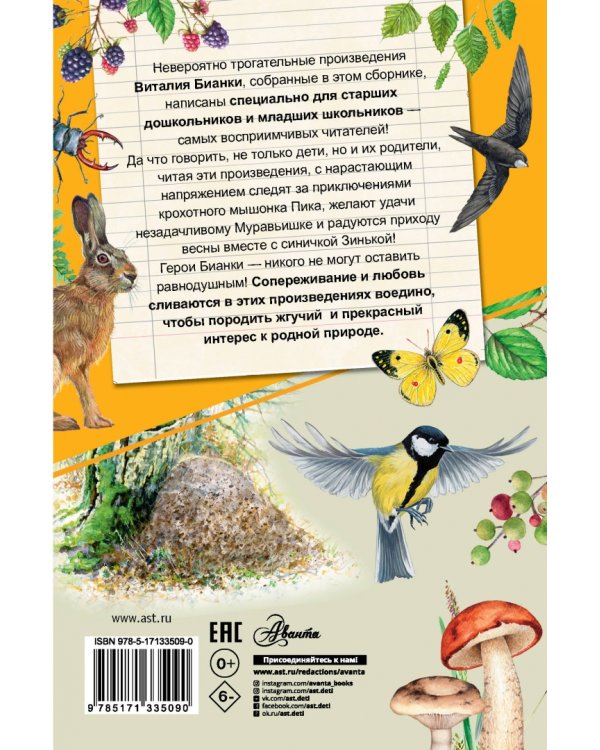 Лесные домишки