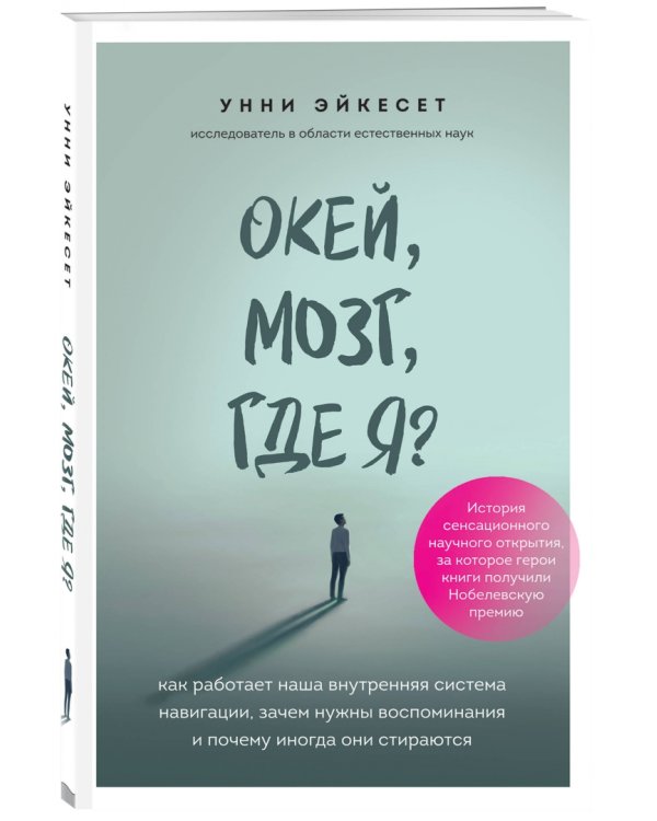 Окей, мозг, где я? Как работает наша внутренняя система навигации, зачем нужны воспоминания