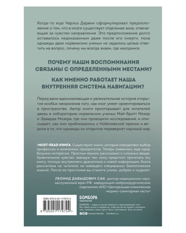 Окей, мозг, где я? Как работает наша внутренняя система навигации, зачем нужны воспоминания