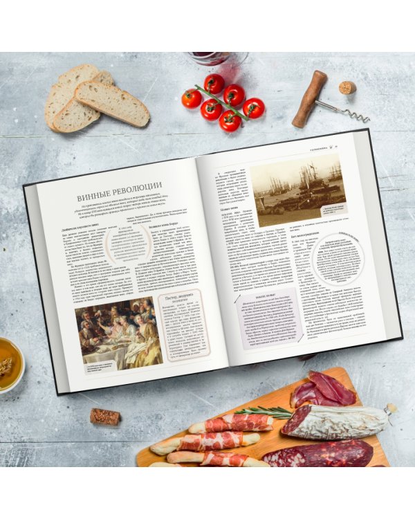 Ларусс. Вино. Энциклопедия