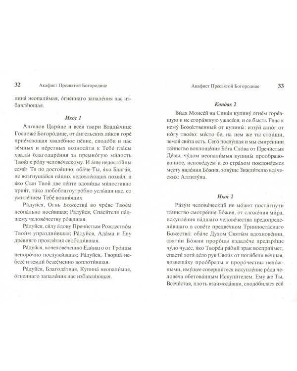 Икона Пресвятой Богородицы "Неопалимая Купина". Чудеса. Акафист. Канон. Молитвы