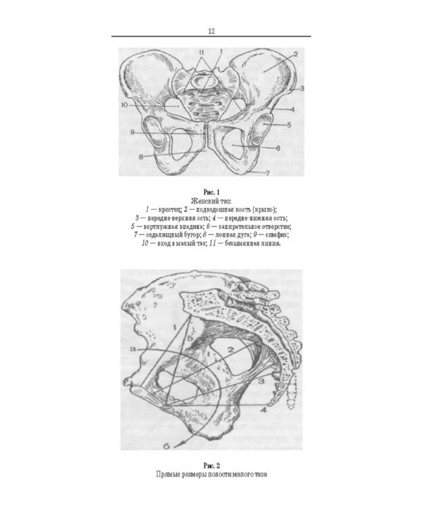 Сестринский уход в акушерстве и гинекологии. Учебное пособие для СПО