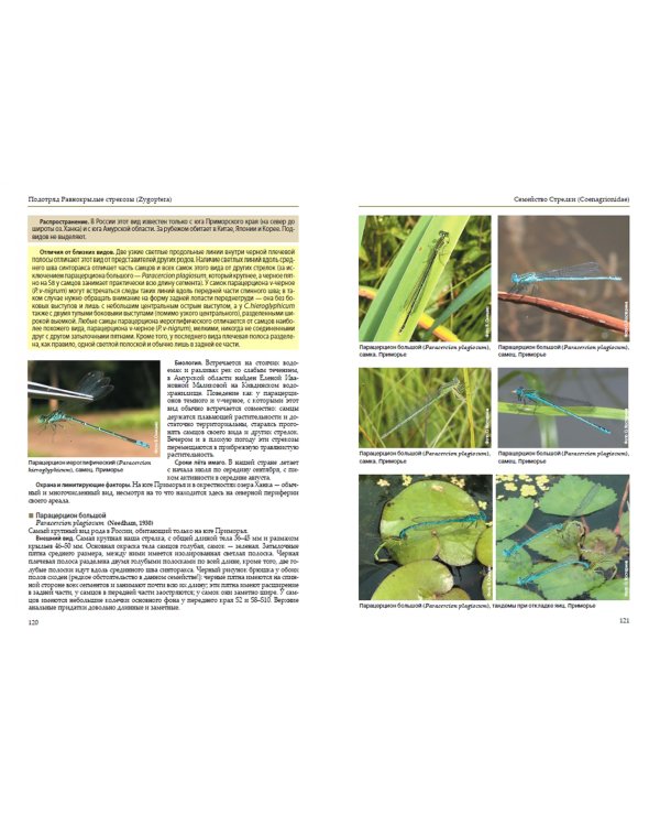 Стрекозы России. Иллюстрированный атлас-определитель