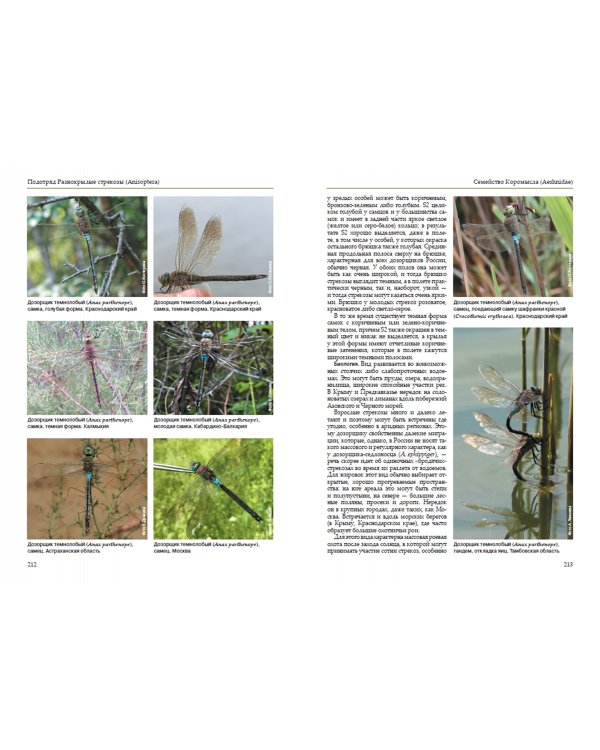 Стрекозы России. Иллюстрированный атлас-определитель