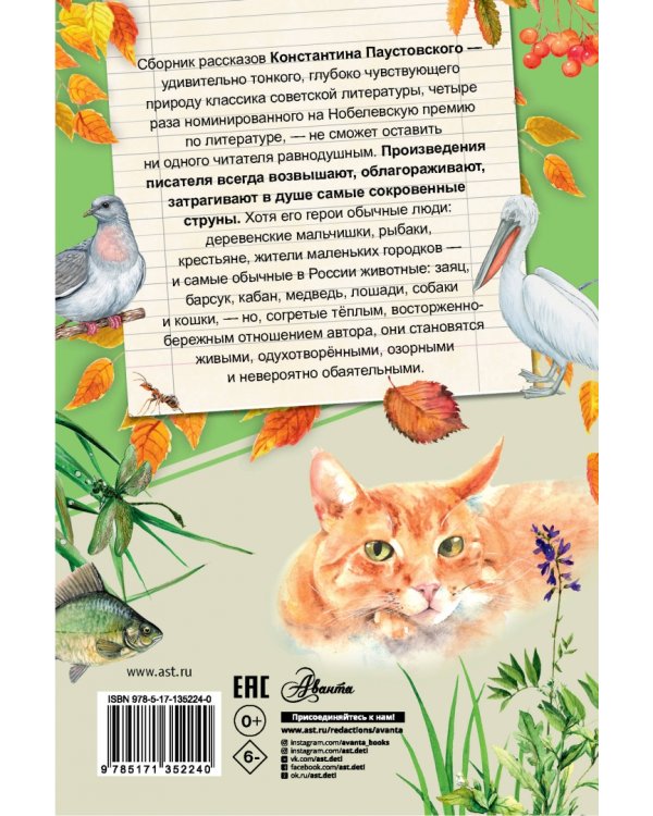 Заячьи лапы