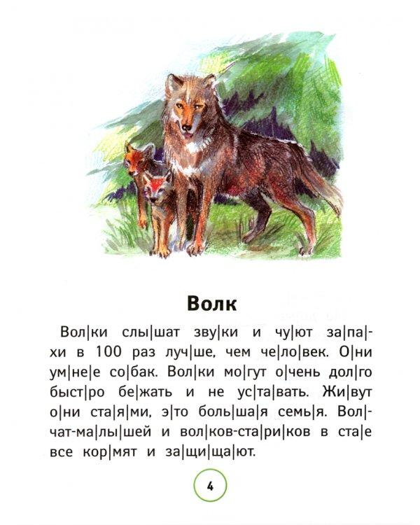 Познавательные тексты для чтения: звери, птицы, рыбы