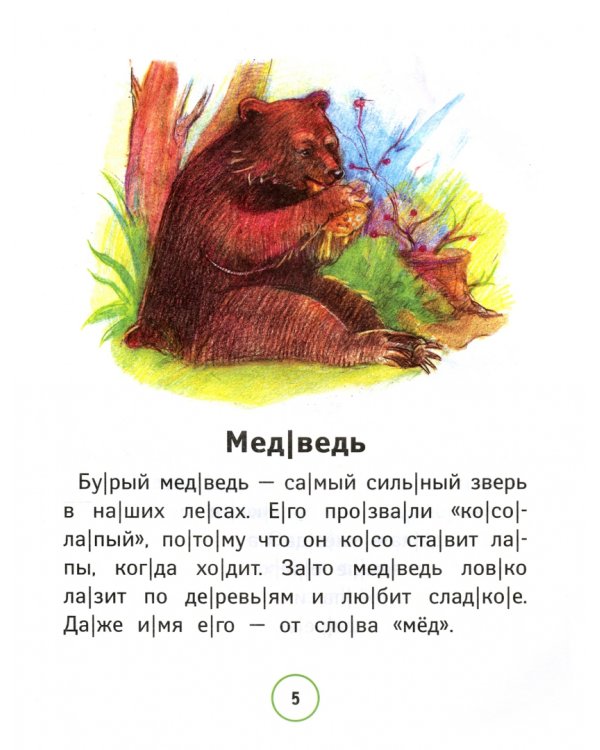 Познавательные тексты для чтения: звери, птицы, рыбы