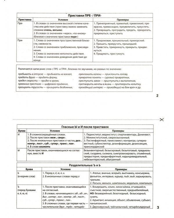Русский язык в карточках: мнемосхемы для школьников