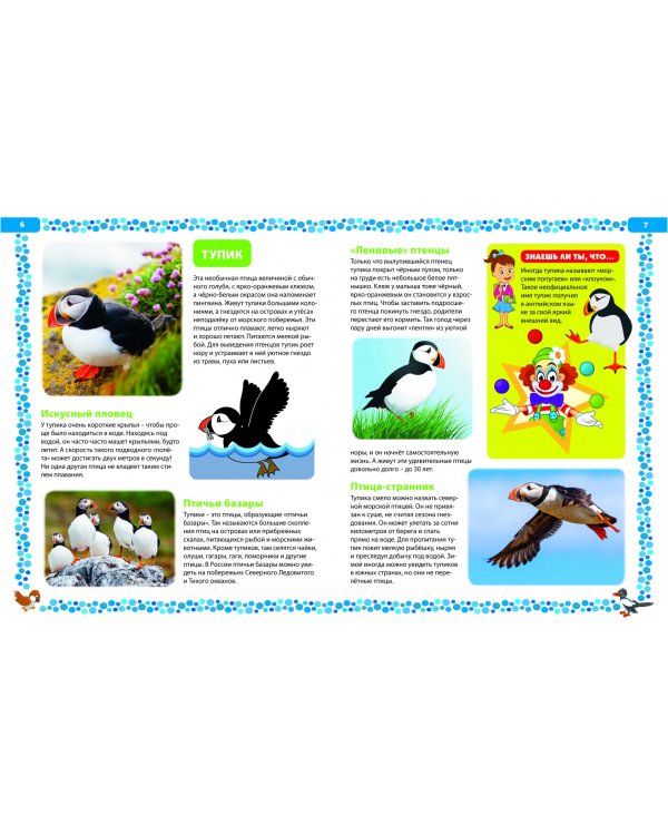 Большая книга о птицах. Иллюстрированная энциклопедия