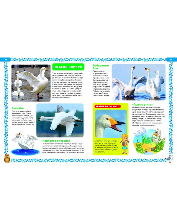 Большая книга о птицах. Иллюстрированная энциклопедия