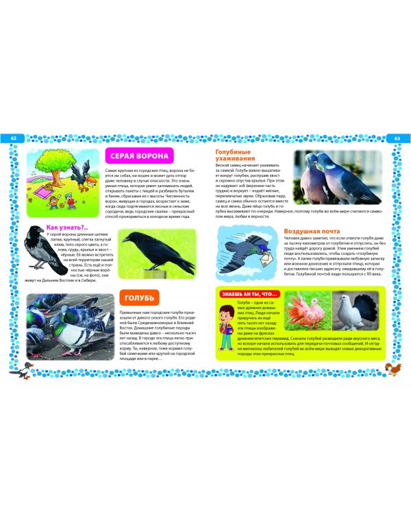 Большая книга о птицах. Иллюстрированная энциклопедия